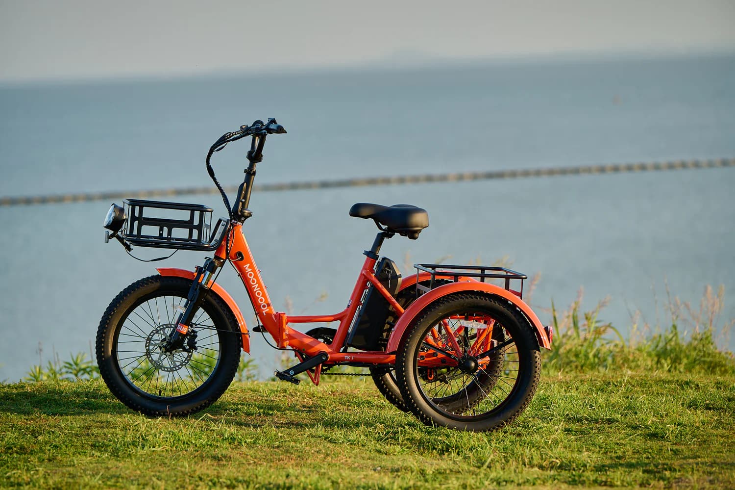 Ultimate Mooncool Review: Are Their Electric & Adult Trikes Truly Worth It?